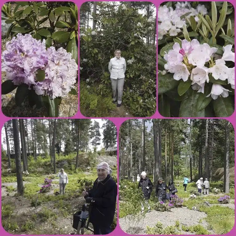 Jos metsään haluat mennä nyt…