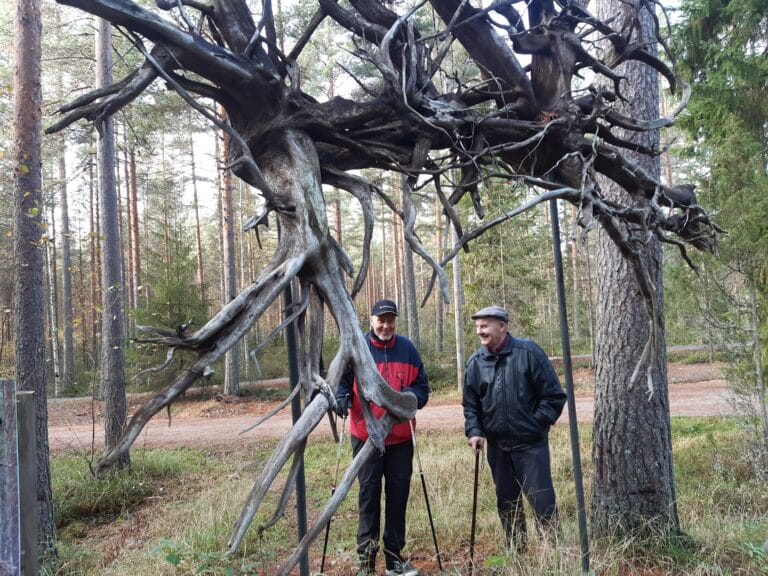 Terveyttä luonnosta